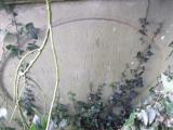 image of grave number 446369